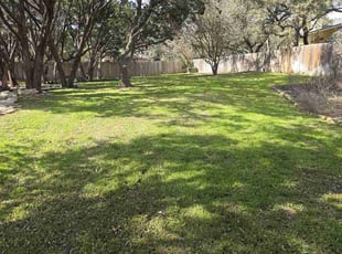 Angela F.'s Lawn Service service result