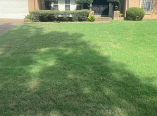 Leila C.'s Lawn Care service result