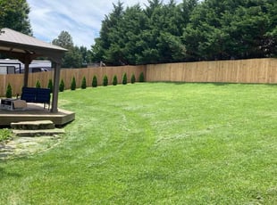 Matthew Y.'s Lawn Mowing service result