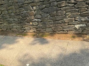 Elise C.'s Flower Bed Weeding service result