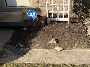 Leaf Removal by Ted Ostavitz for Deborah W. in Cincinnati, OH