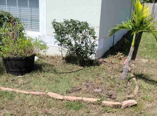 Cleanups by Carlos Martinez for Jonny S. in Davenport, FL