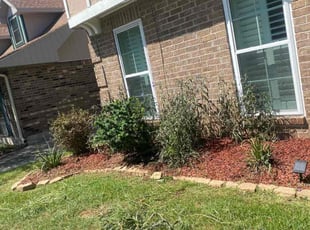 Weeding by Michael Ventry for Mikeal A. in New Orleans, LA