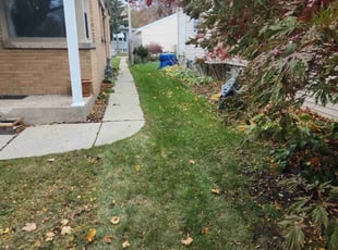 Leaf Removal by Ronnie Anderson for Lynn P. in Milwaukee, WI