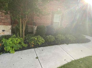 Bush Trimming by Ken'Darius Williams for Jeff K. in Hurst, TX