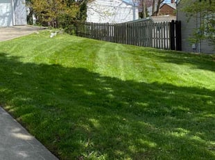 Ken S.'s Grass Cutting service result