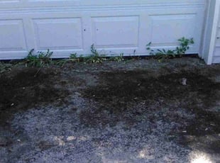 Cleanups by Shawn Crase for Dawn C. in Elyria, OH