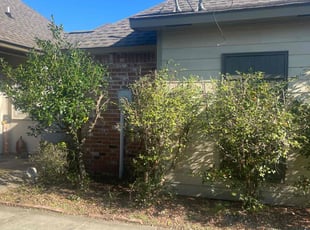 Bush Trimming by Carl George for Hazel B. in Baton Rouge, LA