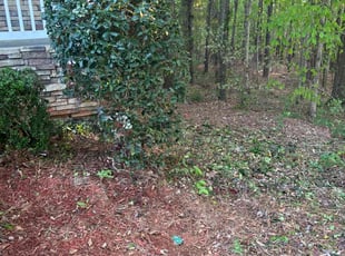Bush Trimming by Tramel Gore for Charlotte w. in McDonough, GA
