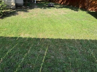 Ashley M.'s Lawn Care service result