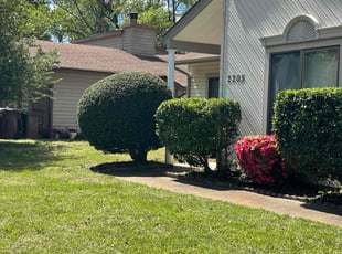Bush Trimming by Bryan Oren for Cassaundra B. in Chesapeake, VA