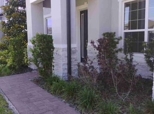 Bush Trimming by Marvel Carmichael for Chris K. in Winter Park, FL