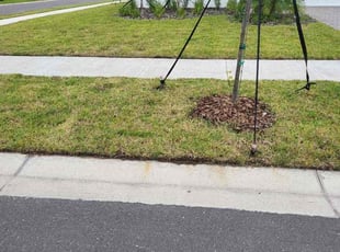 Frances P.'s Grass Cutting service result