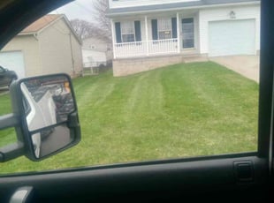 Antonio M.'s Lawn Maintenance service result