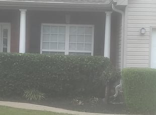 Bush Trimming by China Dowell for Dana W. in Murfreesboro, TN