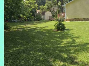 Betty P.'s Lawn Maintenance service result