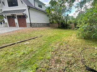 Cleanups by Nelly Arredondo for Laura S. in Arlington, VA