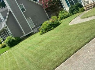Timothy M.'s Lawn Mowing Service service result