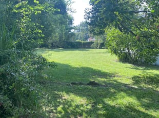 Betty W.'s Lawn Mowing service result