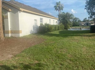 Bush Trimming by Josh Larew for Natalie C. in Orlando, FL