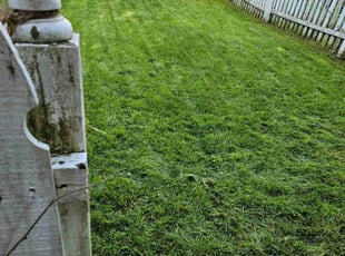 John M.'s Lawn Service service result