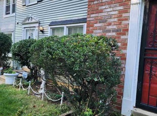 Bush Trimming by Derrick Graves for Malik O. in Capitol Heights, MD
