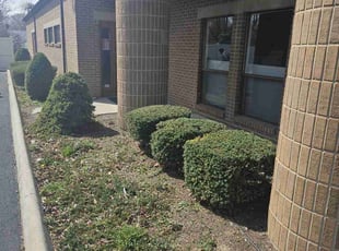 Bush Trimming by Nicholas Weber for Brandi C. in Cincinnati, OH