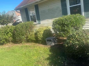 Weeding by Justin Norris for Kevin L. in Chesapeake, VA