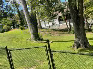 Heather P.'s Lawn Care service result