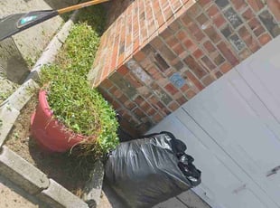 Bush Trimming by Brian Evans for Grant W. in Arlington, TX