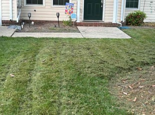 Leaf Removal by Roderick Walker for Jan D. in Yorktown, VA