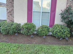 Weeding by Dana Jenkins for LaSonn P. in Montz, LA