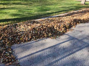 Leaf Removal by Ronnie Anderson for Ron S. in Wauwatosa, WI