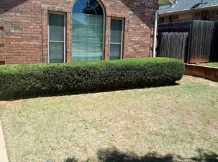 Bush Trimming by Daniel Ward for Mark L. in Oklahoma City, OK