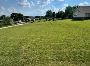 Randy S.'s Lawn Care service result