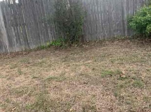 Leaf Removal by Donald Dennis for David C. in Owasso, OK