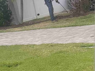 Weeding by Stephen Peffly for David m. in Treasure Island, FL