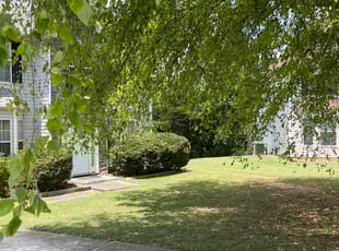 Angela F.'s Grass Cutting service result