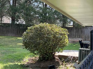 Bush Trimming by Brian Simmons for James A. in Columbus, GA
