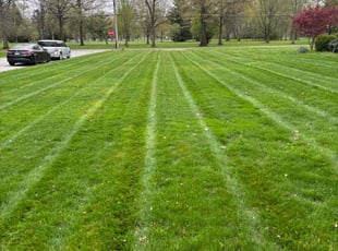Angela W.'s Lawn Service service result