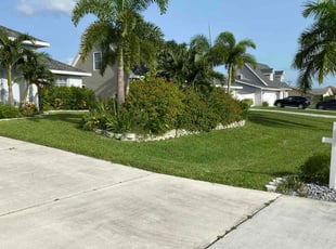 Audrea M.'s Lawn Mowing Service service result