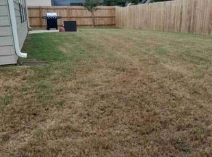 Wynn L.'s Yard Cutting service result