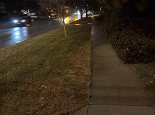 Bush Trimming by Quinn Mendlik for Justin M. in Omaha, NE