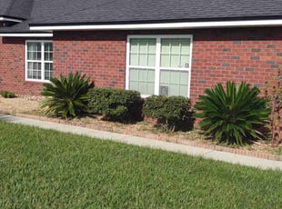 Bush Trimming by Gerald Ford for Paul W. in Callahan, FL