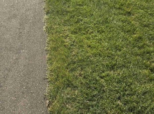 Debbie W.'s Lawn Service service result