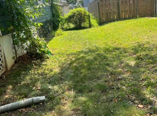 Bush Trimming by Dimas Lopez for Sheila D. in Baltimore, MD