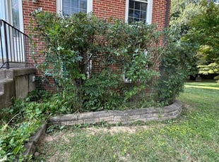 Bush Trimming by Fidel Rodriguez for Brinda C. in Vienna, VA