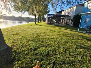 Rise C.'s Lawn Care service result