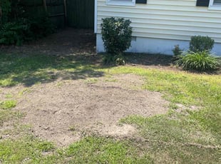 Bush Trimming by Maria Ramos for Ashley K. in Midlothian, VA