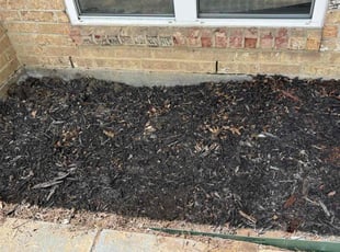 Cleanups by Logan Holzmeier for Kyarra M. in Burleson, TX